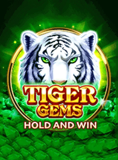 IPL cricket betting cover
